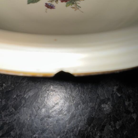 Royal Tettau Bavaria Floral Porcelain Serving Bowl Gold Trim Germany Vtg 1949 - Picture 6 of 6